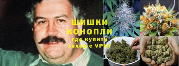 бошки Абинск