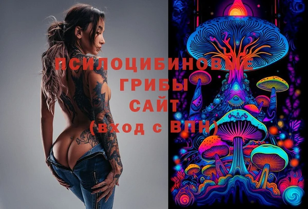 mix Абаза